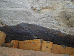 coolross 1795.jpg